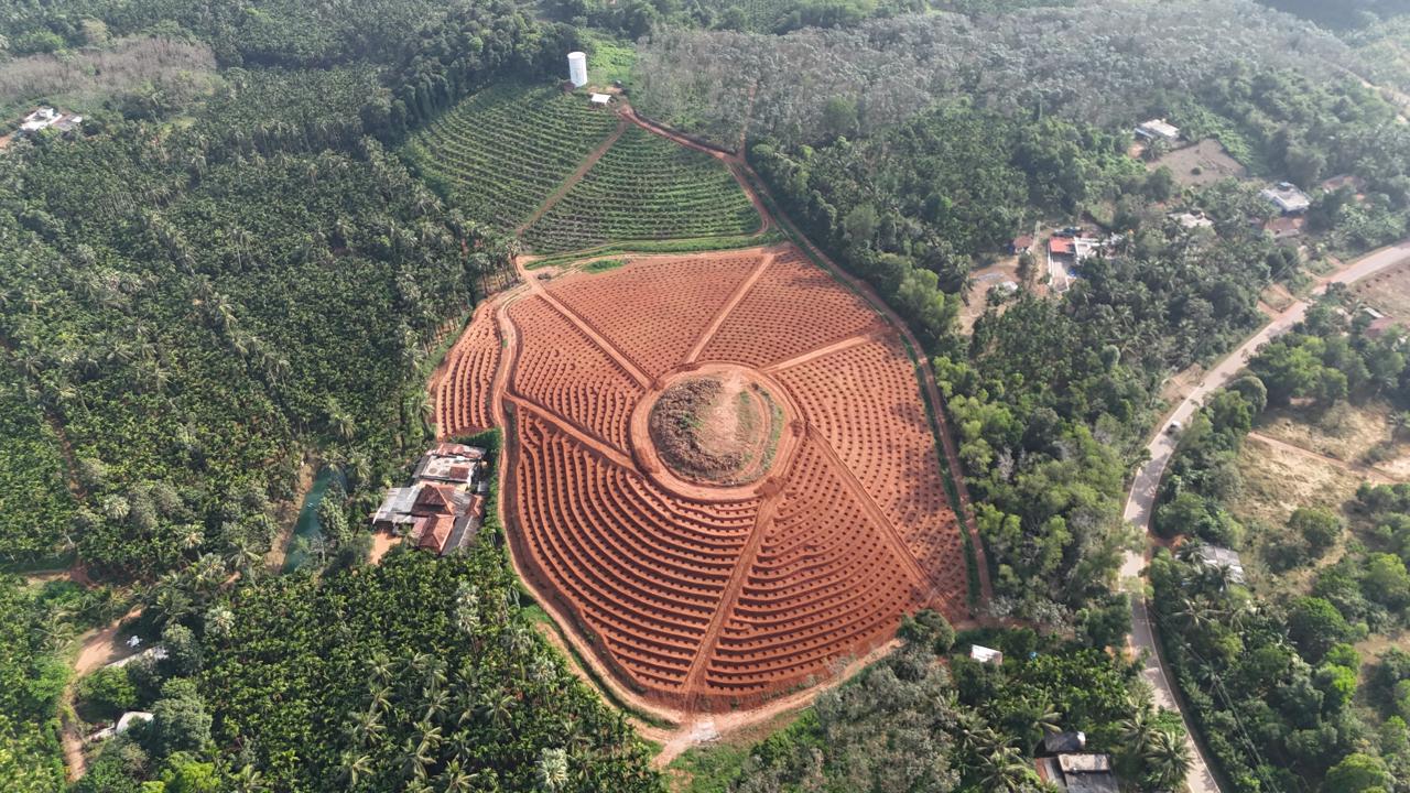 Field Implementation